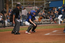 Enlarge photo 151