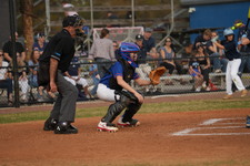 Enlarge photo 153