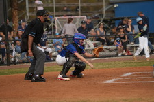 Enlarge photo 156