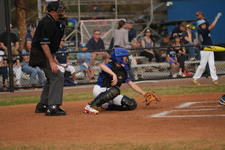 Enlarge photo 161