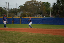 Enlarge photo 220