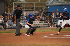 Enlarge photo 249