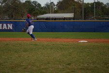 Enlarge photo 278