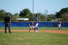 Enlarge photo 91