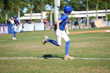 Enlarge photo 137