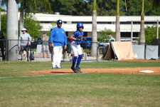 Enlarge photo 383