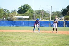 Enlarge photo 475