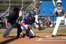 Enlarge photo 525