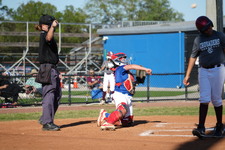 Enlarge photo 1217