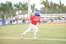 Enlarge photo 107