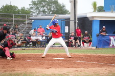 Enlarge photo 226