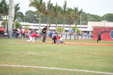 Enlarge photo 298