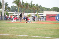 Enlarge photo 299