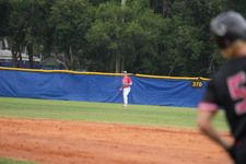 Enlarge photo 324