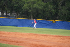 Enlarge photo 328