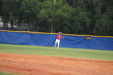 Enlarge photo 333