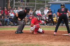 Enlarge photo 335