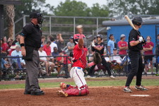 Enlarge photo 495