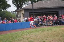 Enlarge photo 498