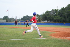 Enlarge photo 528