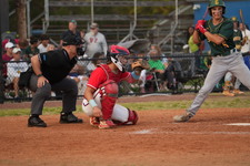 Enlarge photo 74