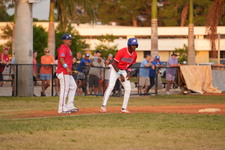 Enlarge photo 235