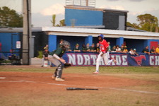 Enlarge photo 251