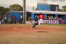 Enlarge photo 253