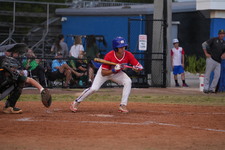 Enlarge photo 349
