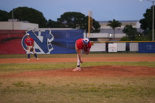 Enlarge photo 475