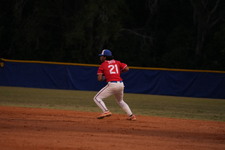 Enlarge photo 477