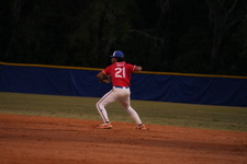 Enlarge photo 478