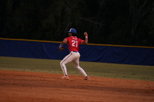 Enlarge photo 479