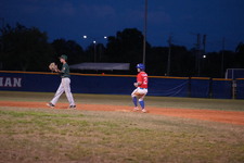 Enlarge photo 594