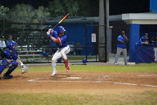 Enlarge photo 269