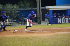 Enlarge photo 293