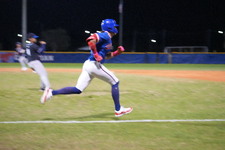 Enlarge photo 309