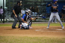 Enlarge photo 387