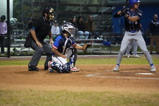 Enlarge photo 388
