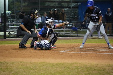 Enlarge photo 392