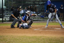 Enlarge photo 391