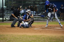 Enlarge photo 393