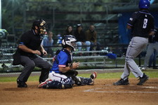Enlarge photo 442