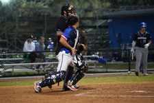 Enlarge photo 447