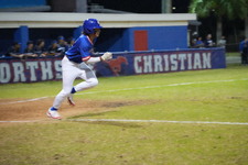 Enlarge photo 513