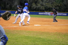 Enlarge photo 529