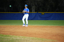Enlarge photo 833