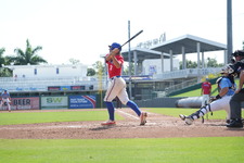 Enlarge photo 249
