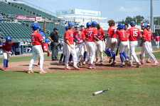 Enlarge photo 442