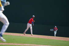 Enlarge photo 803